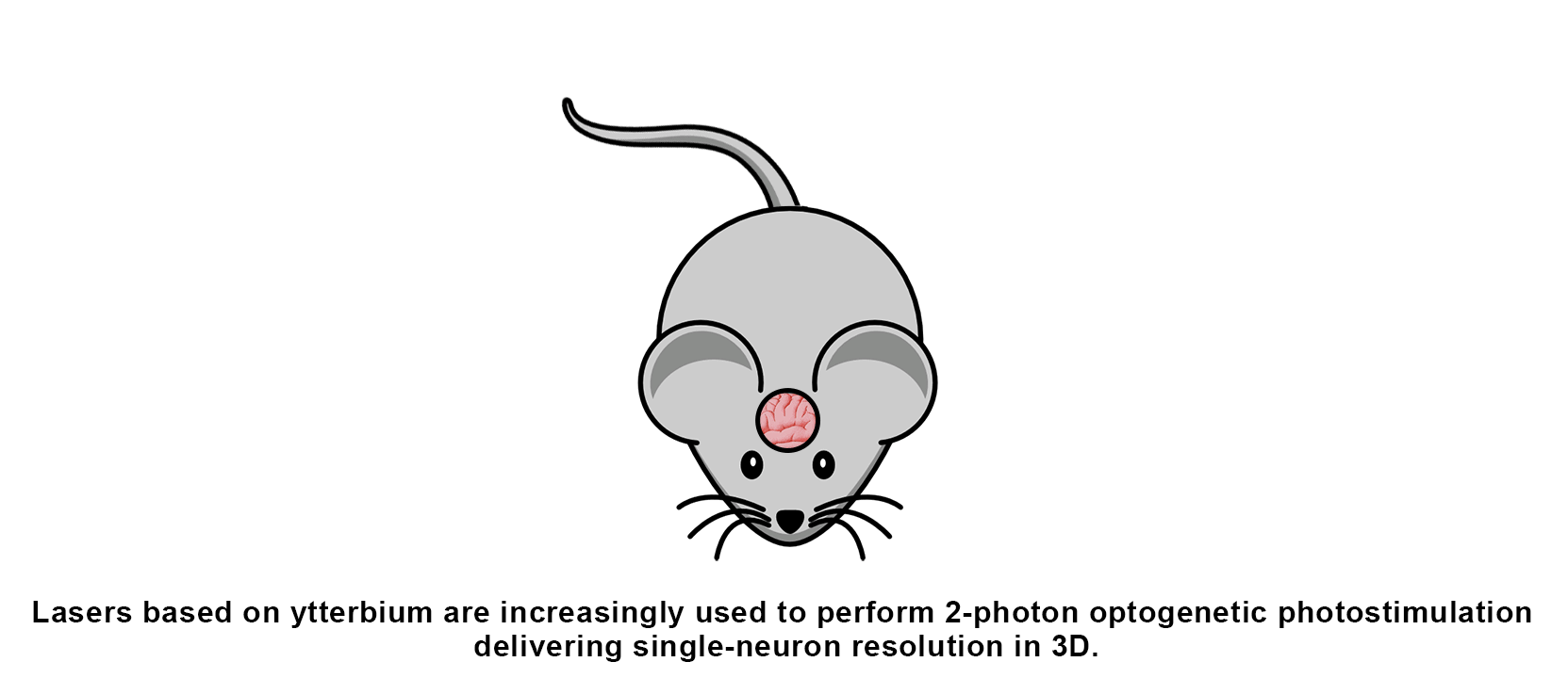 Ytterbium (Yb)-Laser für die optogenetische 2-Photonen-Photostimulation