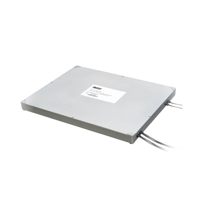Multicast-Switches