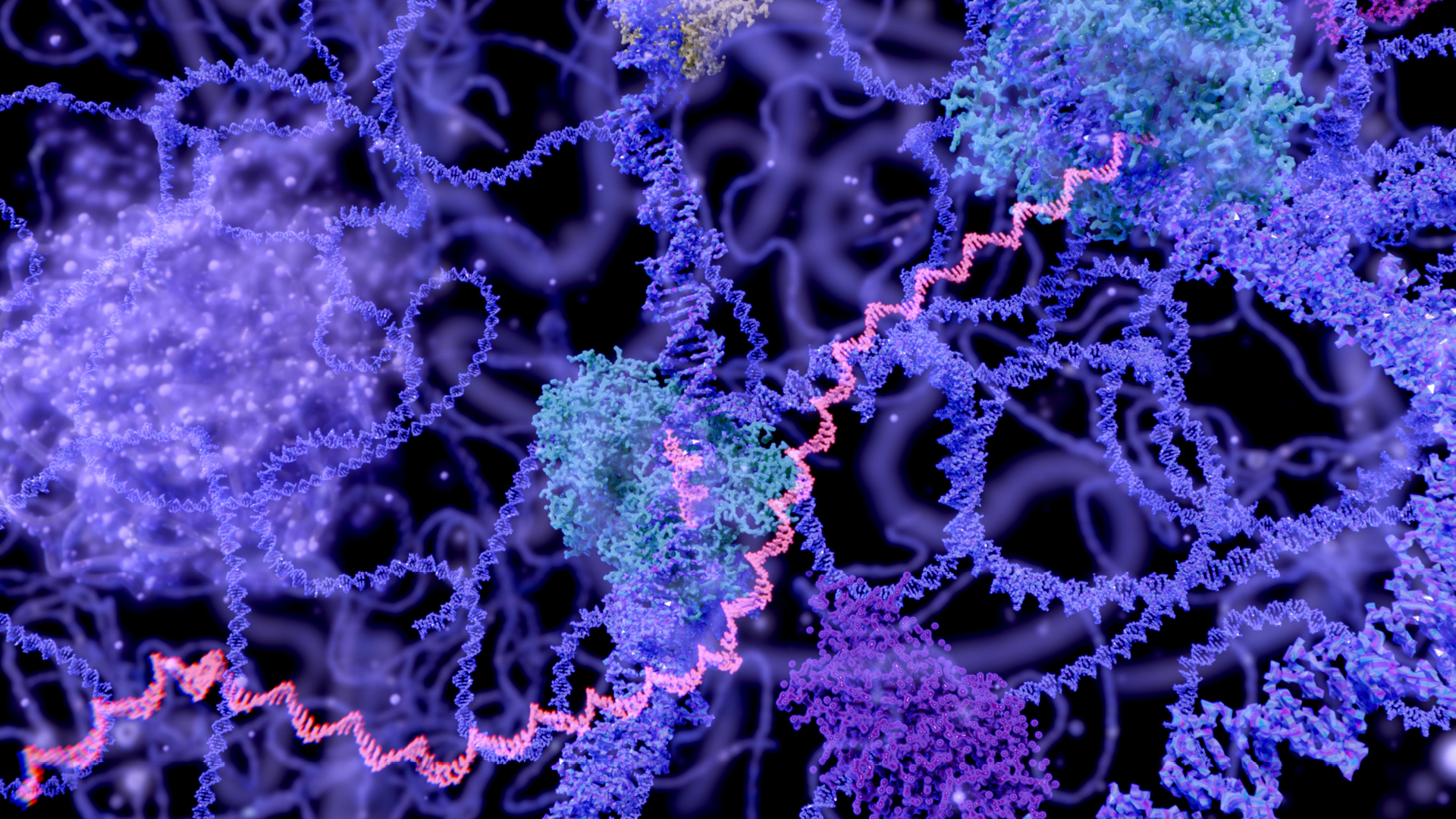 Fluoreszenzdetektion