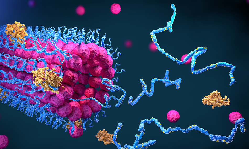 Proteine analysieren